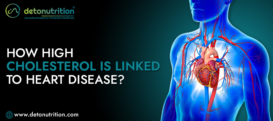 How High Cholesterol is Linked to Heart Disease?