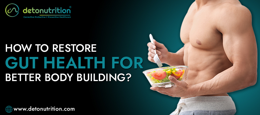 How To Restore Gut Health for Better Body Building?