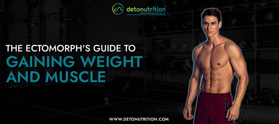 The Ectomorph's Guide to Gaining Weight and Muscle