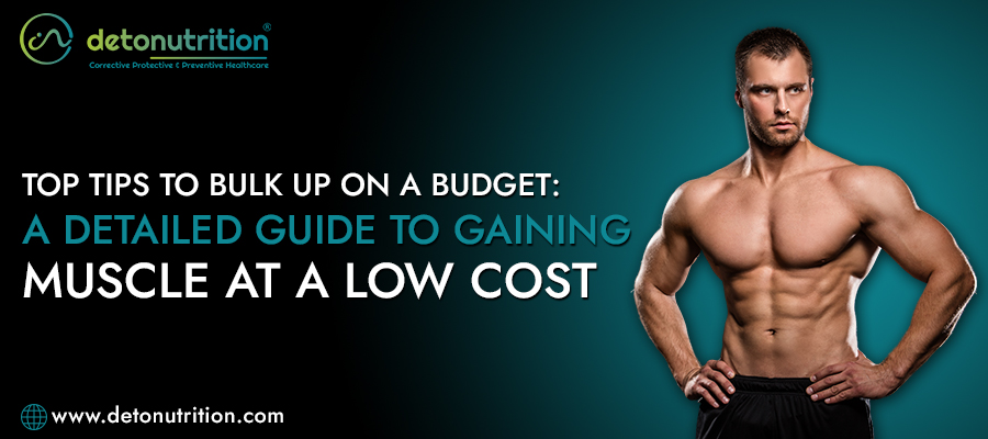 Top Tips to Bulk Up on a Budget: A Detailed Guide to Gaining Muscle At A Low Cost