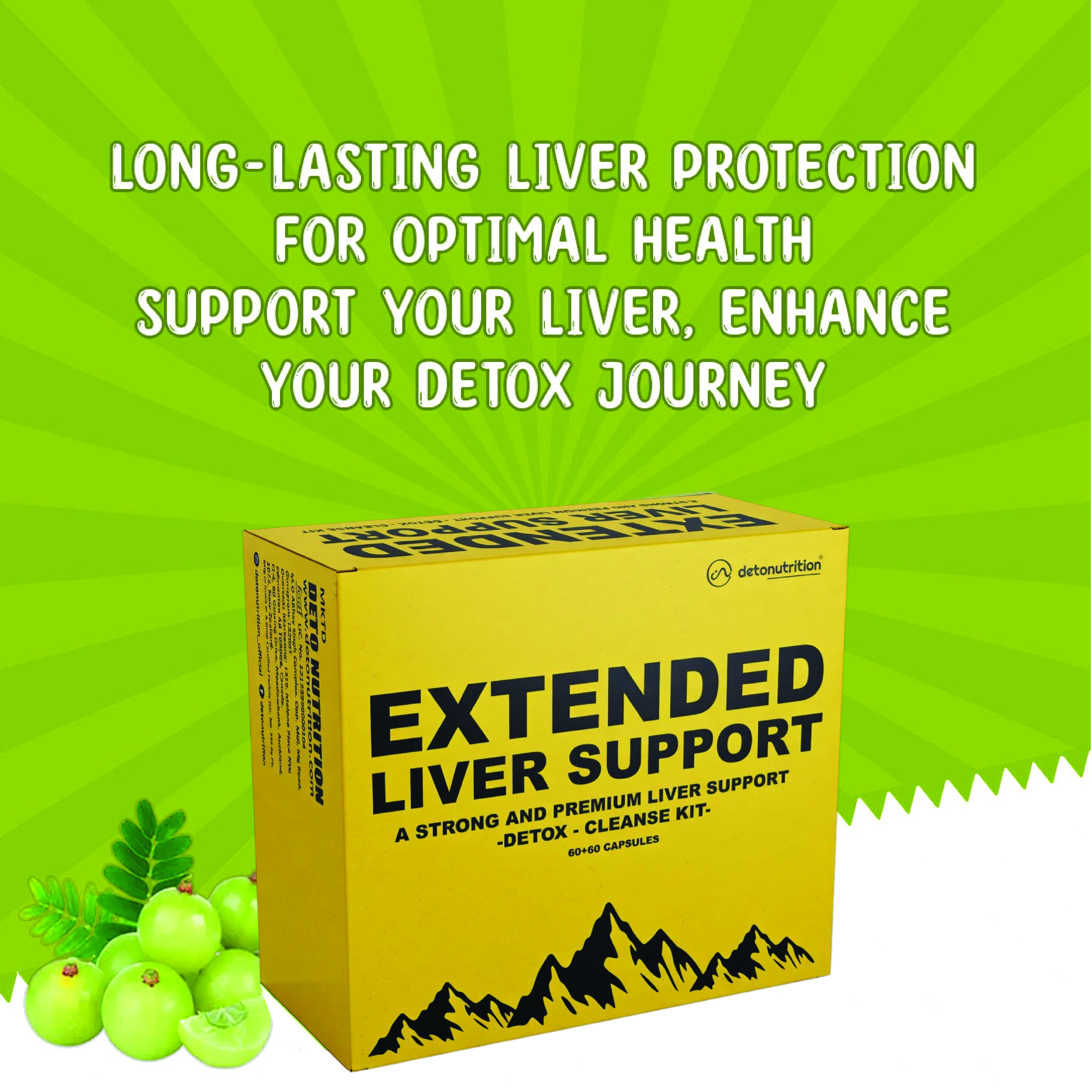 EXTENDED LIVER SUPPORT KIT