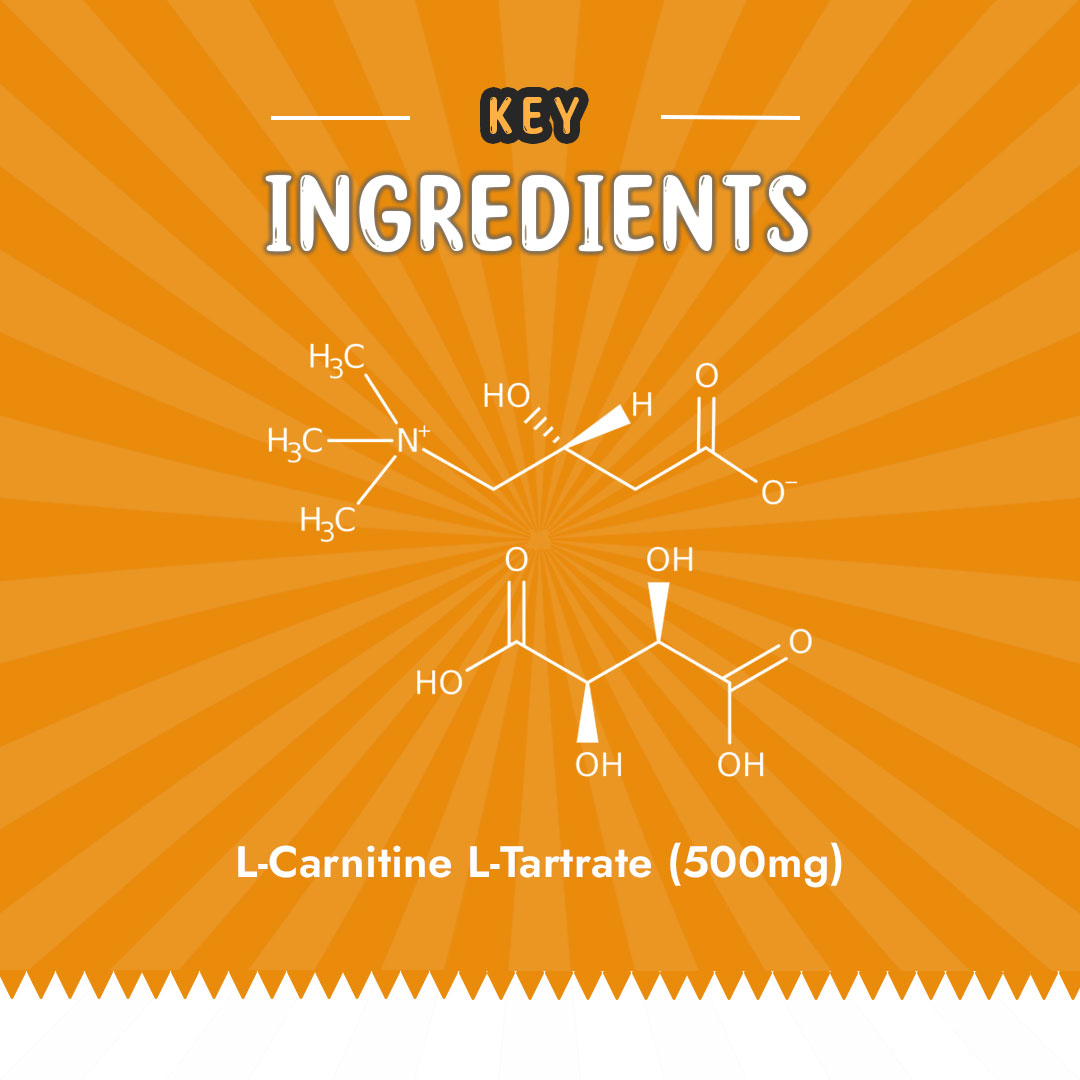 prod-img-lcarnitine2-1